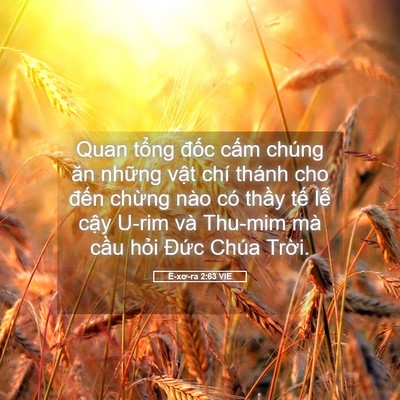 Picture 05 - Ê-xơ-ra 2:63 VIE - Quan tổng đốc cấm chúng ăn những vật - Bible Verse Picture