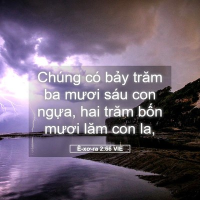 Picture 05 - Ê-xơ-ra 2:66 VIE - Chúng có bảy trăm ba mươi sáu con ngựa, - Bible Verse Picture