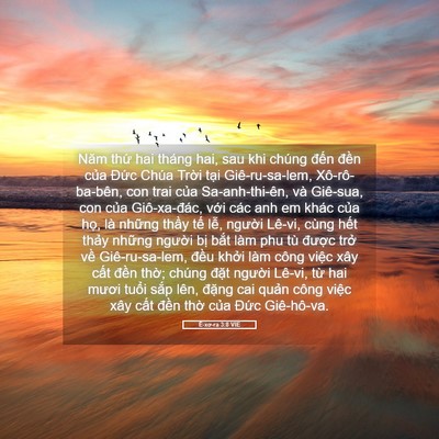 Picture 05 - Ê-xơ-ra 3:8 VIE - Năm thứ hai tháng hai, sau khi chúng đến - Bible Verse Picture