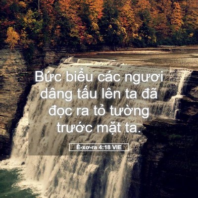 Picture 05 - Ê-xơ-ra 4:18 VIE - Bức biểu các ngươi dâng tấu lên ta - Bible Verse Picture