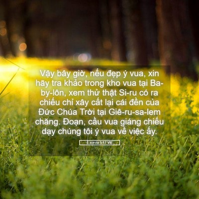 Picture 05 - Ê-xơ-ra 5:17 VIE - Vậy bây giờ, nếu đẹp ý vua, xin hãy - Bible Verse Picture