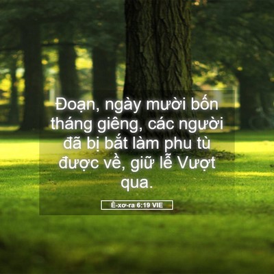 Picture 05 - Ê-xơ-ra 6:19 VIE - Đoạn, ngày mười bốn tháng giêng, các - Bible Verse Picture