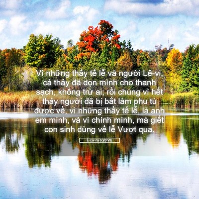 Picture 05 - Ê-xơ-ra 6:20 VIE - Vì những thầy tế lễ và người Lê-vi, - Bible Verse Picture