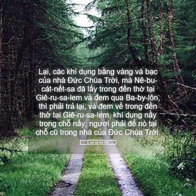 Picture 05 - Ê-xơ-ra 6:5 VIE - Lại, các khí dụng bằng vàng và bạc - Bible Verse Picture