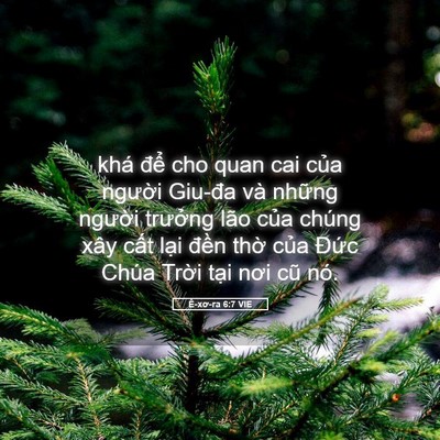 Picture 05 - Ê-xơ-ra 6:7 VIE - khá để cho quan cai của người Giu-đa - Bible Verse Picture