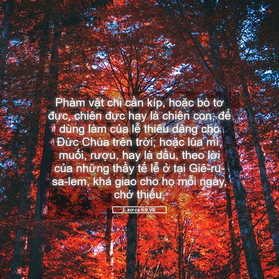 Picture 05 - Ê-xơ-ra 6:9 VIE - Phàm vật chi cần kíp, hoặc bò tơ - Bible Verse Picture