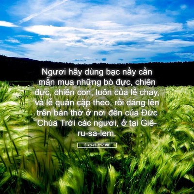 Picture 05 - Ê-xơ-ra 7:17 VIE - Ngươi hãy dùng bạc nầy cần mẫn mua - Bible Verse Picture