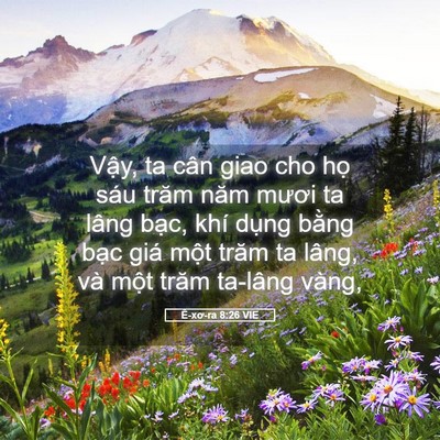 Picture 05 - Ê-xơ-ra 8:26 VIE - Vậy, ta cân giao cho họ sáu trăm năm - Bible Verse Picture