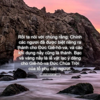 Picture 05 - Ê-xơ-ra 8:28 VIE - Rồi ta nói với chúng rằng: Chính các - Bible Verse Picture
