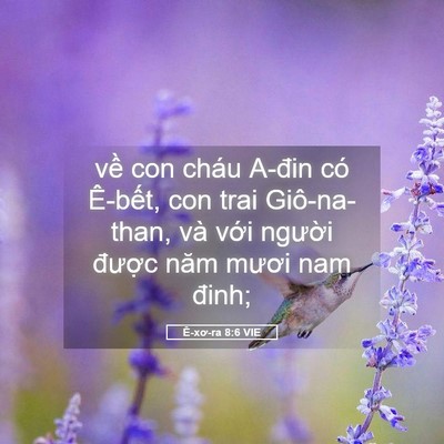 Picture 05 - Ê-xơ-ra 8:6 VIE - về con cháu A-đin có Ê-bết, con trai - Bible Verse Picture