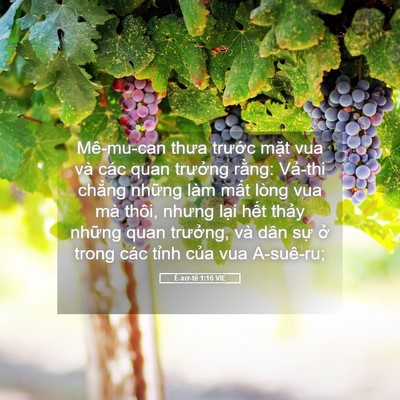 Picture 05 - Ê-xơ-tê 1:16 VIE - Mê-mu-can thưa trước mặt vua và các quan - Bible Verse Picture