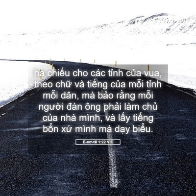 Picture 05 - Ê-xơ-tê 1:22 VIE - hạ chiếu cho các tỉnh của vua, theo - Bible Verse Picture