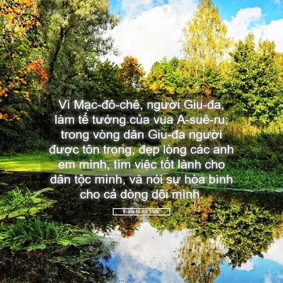 Picture 05 - Ê-xơ-tê 10:3 VIE - Vì Mạc-đô-chê, người Giu-đa, làm tể - Bible Verse Picture