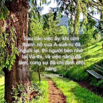 Picture 05 - Ê-xơ-tê 2:1 VIE - Sau các việc ấy, khi cơn thạnh nộ vua - Bible Verse Picture