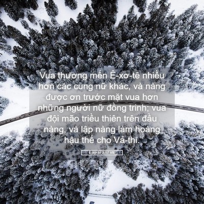Picture 05 - Ê-xơ-tê 2:17 VIE - Vua thương mến Ê-xơ-tê nhiều hơn các - Bible Verse Picture
