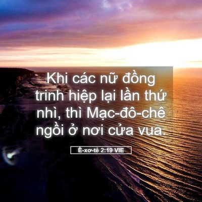 Picture 05 - Ê-xơ-tê 2:19 VIE - Khi các nữ đồng trinh hiệp lại lần - Bible Verse Picture