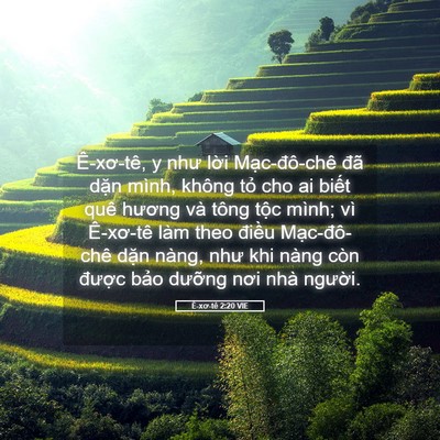 Picture 05 - Ê-xơ-tê 2:20 VIE - Ê-xơ-tê, y như lời Mạc-đô-chê đã - Bible Verse Picture