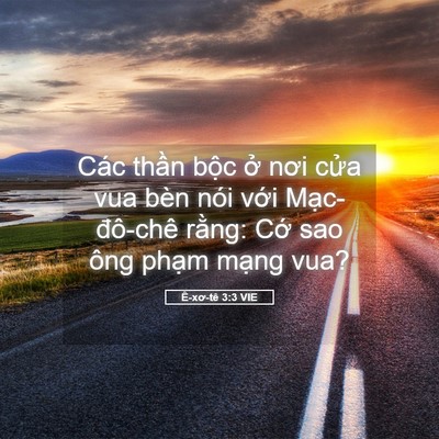 Picture 05 - Ê-xơ-tê 3:3 VIE - Các thần bộc ở nơi cửa vua bèn nói - Bible Verse Picture