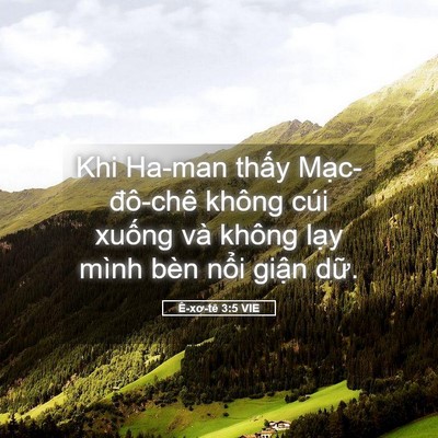 Picture 05 - Ê-xơ-tê 3:5 VIE - Khi Ha-man thấy Mạc-đô-chê không cúi - Bible Verse Picture
