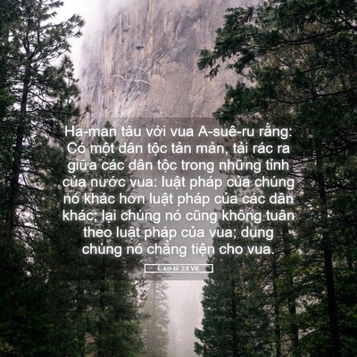 Picture 05 - Ê-xơ-tê 3:8 VIE - Ha-man tâu với vua A-suê-ru rằng: Có một - Bible Verse Picture