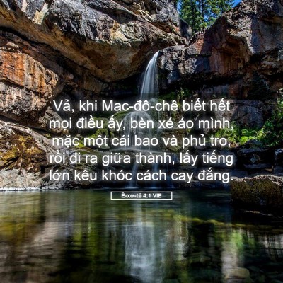 Picture 05 - Ê-xơ-tê 4:1 VIE - Vả, khi Mạc-đô-chê biết hết mọi - Bible Verse Picture