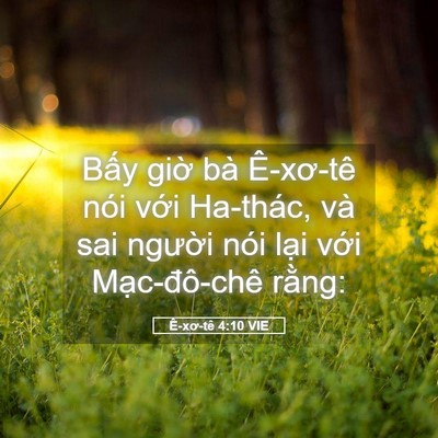 Picture 05 - Ê-xơ-tê 4:10 VIE - Bấy giờ bà Ê-xơ-tê nói với Ha-thác, - Bible Verse Picture