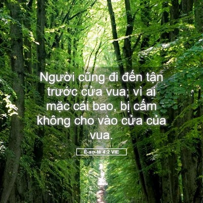 Picture 05 - Ê-xơ-tê 4:2 VIE - Người cũng đi đến tận trước cửa - Bible Verse Picture