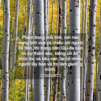 Picture 05 - Ê-xơ-tê 4:3 VIE - Phàm trong mỗi tỉnh, nơi nào mạng lịnh - Bible Verse Picture