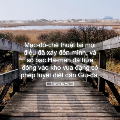 Picture 05 - Ê-xơ-tê 4:7 VIE - Mạc-đô-chê thuật lại mọi điều đã - Bible Verse Picture