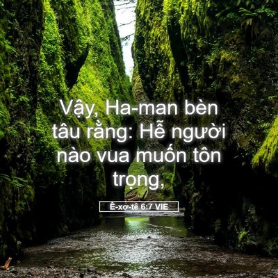 Picture 05 - Ê-xơ-tê 6:7 VIE - Vậy, Ha-man bèn tâu rằng: Hễ người - Bible Verse Picture