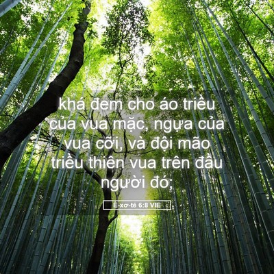 Picture 05 - Ê-xơ-tê 6:8 VIE - khá đem cho áo triều của vua mặc, ngựa - Bible Verse Picture