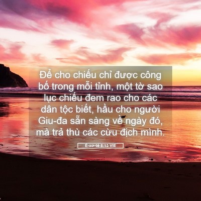 Picture 05 - Ê-xơ-tê 8:13 VIE - Để cho chiếu chỉ được công bố trong - Bible Verse Picture