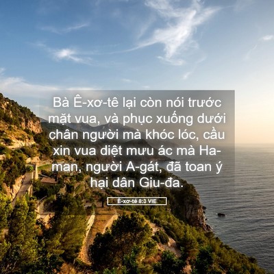 Picture 05 - Ê-xơ-tê 8:3 VIE - Bà Ê-xơ-tê lại còn nói trước mặt - Bible Verse Picture