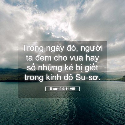 Picture 05 - Ê-xơ-tê 9:11 VIE - Trong ngày đó, người ta đem cho vua hay - Bible Verse Picture