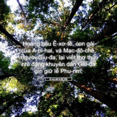 Picture 05 - Ê-xơ-tê 9:29 VIE - Hoàng hậu Ê-xơ-tê, con gái của A-bi-hai, - Bible Verse Picture
