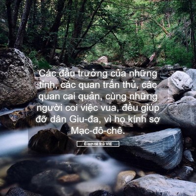Picture 05 - Ê-xơ-tê 9:3 VIE - Các đầu trưởng của những tỉnh, các - Bible Verse Picture