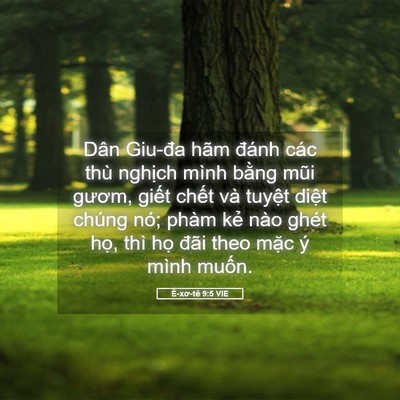 Picture 05 - Ê-xơ-tê 9:5 VIE - Dân Giu-đa hãm đánh các thù nghịch mình - Bible Verse Picture