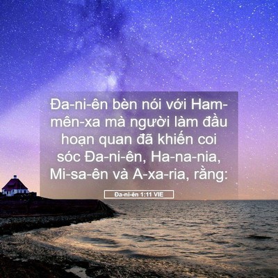 Picture 05 - Ða-ni-ên 1:11 VIE - Đa-ni-ên bèn nói với Ham-mên-xa mà - Bible Verse Picture