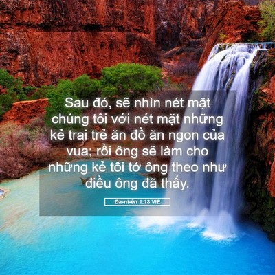 Picture 05 - Ða-ni-ên 1:13 VIE - Sau đó, sẽ nhìn nét mặt chúng tôi với - Bible Verse Picture