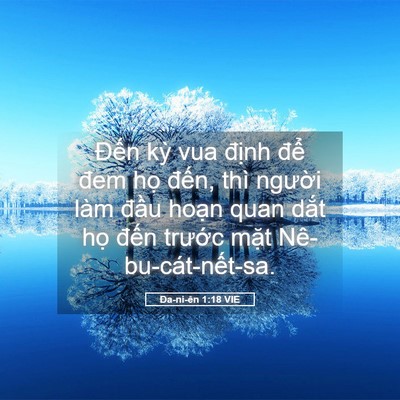 Picture 05 - Ða-ni-ên 1:18 VIE - Đến kỳ vua định để đem họ đến, - Bible Verse Picture