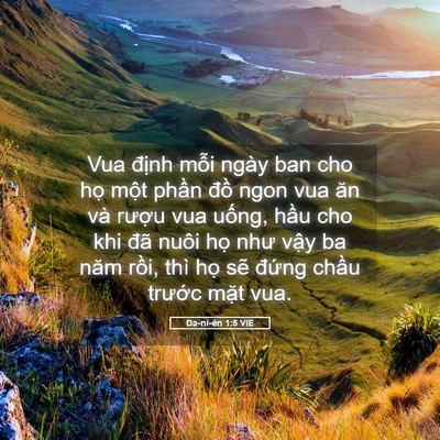 Picture 05 - Ða-ni-ên 1:5 VIE - Vua định mỗi ngày ban cho họ một phần - Bible Verse Picture