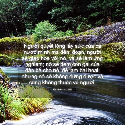 Picture 05 - Ða-ni-ên 11:17 VIE - Người quyết lòng lấy sức của cả - Bible Verse Picture