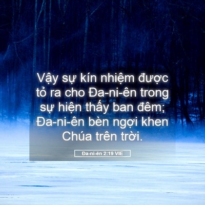 Picture 05 - Ða-ni-ên 2:19 VIE - Vậy sự kín nhiệm được tỏ ra cho - Bible Verse Picture