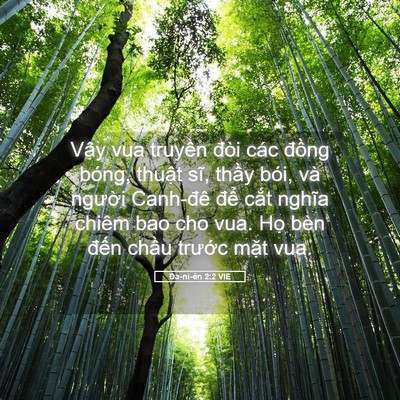 Picture 05 - Ða-ni-ên 2:2 VIE - Vậy vua truyền đòi các đồng bóng, - Bible Verse Picture
