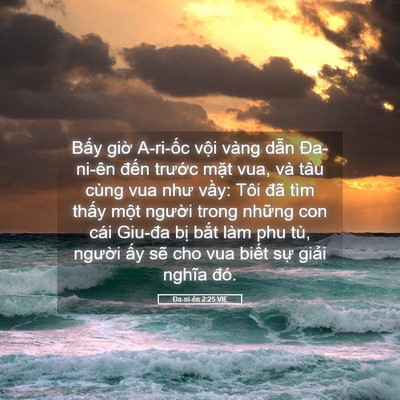Picture 05 - Ða-ni-ên 2:25 VIE - Bấy giờ A-ri-ốc vội vàng dẫn - Bible Verse Picture