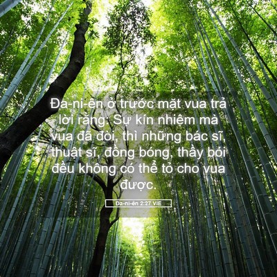 Picture 05 - Ða-ni-ên 2:27 VIE - Đa-ni-ên ở trước mặt vua trả lời - Bible Verse Picture