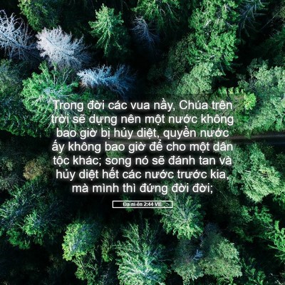 Picture 05 - Ða-ni-ên 2:44 VIE - Trong đời các vua nầy, Chúa trên trời - Bible Verse Picture