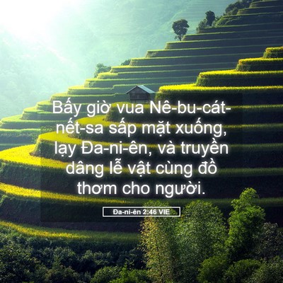 Picture 05 - Ða-ni-ên 2:46 VIE - Bấy giờ vua Nê-bu-cát-nết-sa sấp mặt - Bible Verse Picture