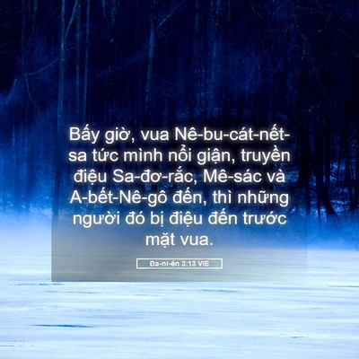 Picture 05 - Ða-ni-ên 3:13 VIE - Bấy giờ, vua Nê-bu-cát-nết-sa tức mình - Bible Verse Picture