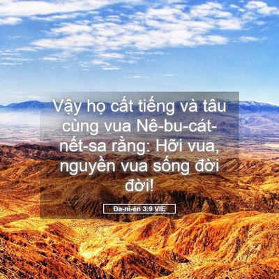 Picture 05 - Ða-ni-ên 3:9 VIE - Vậy họ cất tiếng và tâu cùng vua - Bible Verse Picture